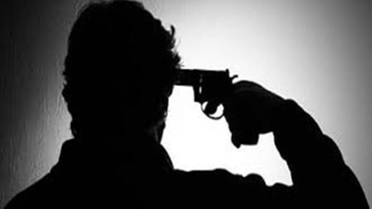 suicide_by_gun_demo