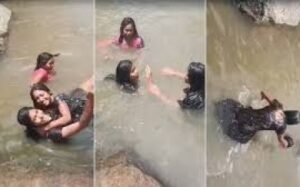 image_430x256_69d924e76be1a