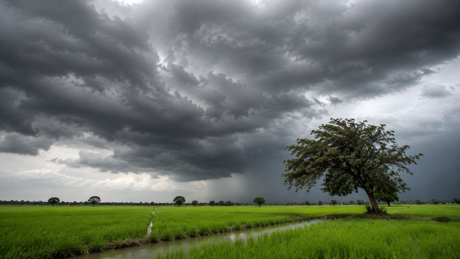 weather